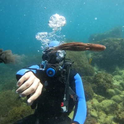 Formation de Plongée Niveau 1 CMAS